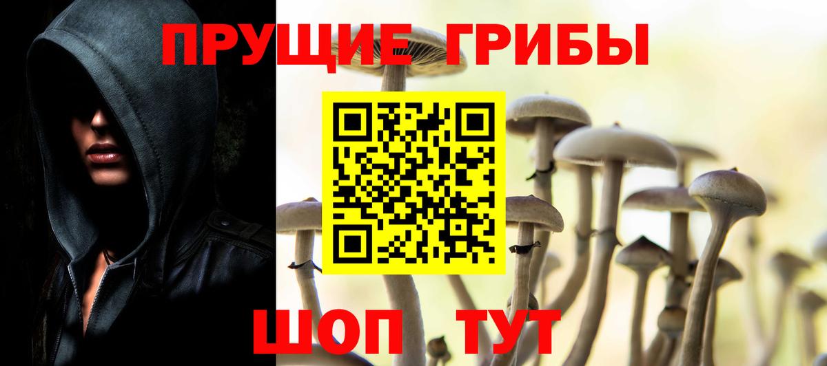Галлюциногенные грибы Psilocybe  Псилоцибиновые грибы мухоморы  Вход с VPN  Нижневартовск 